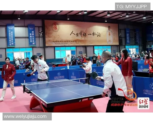 成都乒乓球队的速度之美与技术探秘乒乓球运动的魅力与发展之路