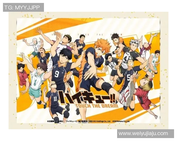 排球新手必看：从基础技能到个人能力全面提升的实用指南