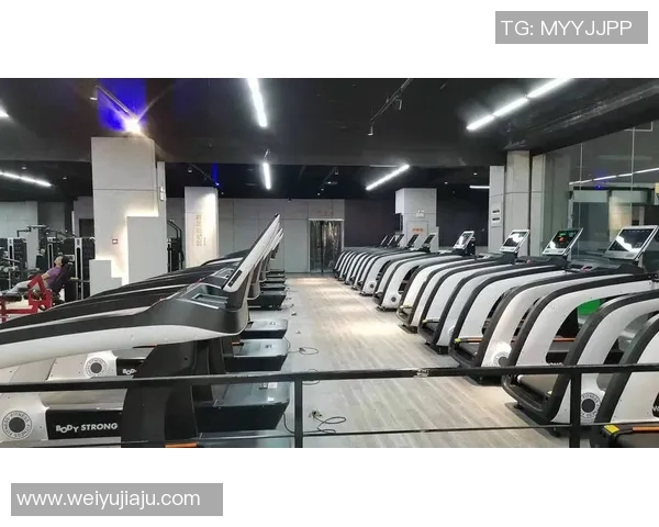 进口健身器材价格与选择:高端设备市场分析