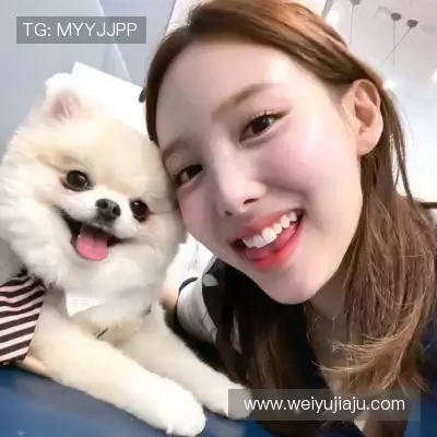 罗楚焱